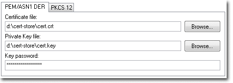 Certificado e chave PEM/ASN1 - selecione os arquivos de certificado e chave e digite a senha da chave